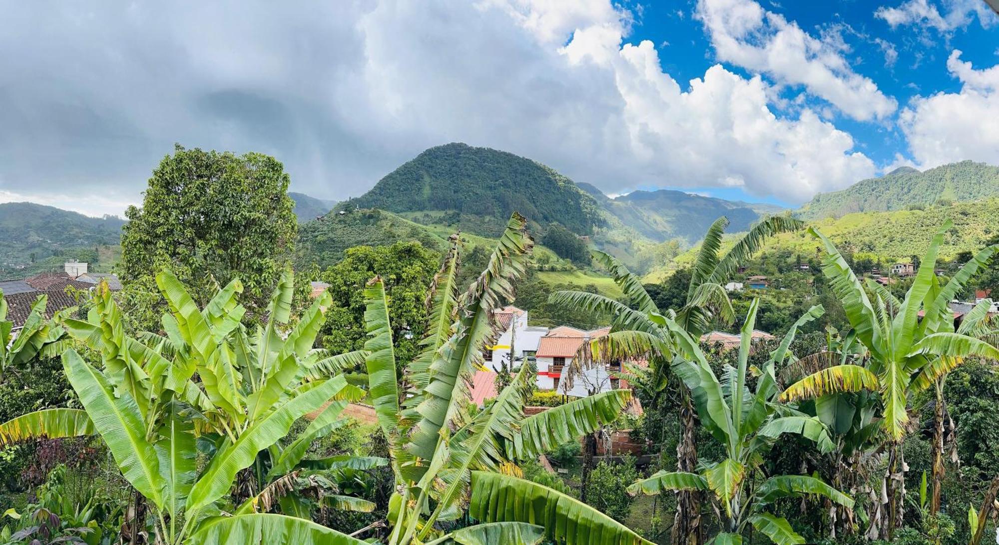 La Casa De Las Flores Hostal Jardín Eksteriør billede